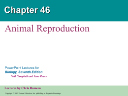 Chapter 46  Animal Reproduction  PowerPoint Lectures for Biology, Seventh Edition Neil Campbell and Jane Reece  Lectures by Chris Romero Copyright © 2005 Pearson Education, Inc.