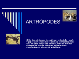 ARTRÓPODES  O filo dos artrópodes (gr. arthros = articulado + poda = pé) contém a maioria dos animais conhecidos (mais de 3 em.