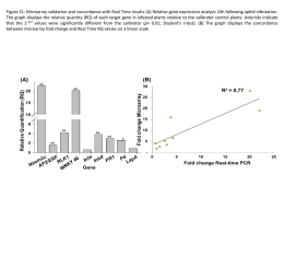 Figure S1: Microarray validation and concordance with Real Time results (A) Relative gene expression analysis 24h following aphid infestation. The graph.