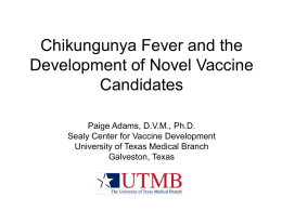 Chikungunya Fever and the Development of Novel Vaccine Candidates Paige Adams, D.V.M., Ph.D. Sealy Center for Vaccine Development University of Texas Medical Branch Galveston, Texas.
