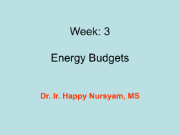 Week: 3 Energy Budgets  Dr. Ir. Happy Nursyam, MS Energy Budgets Intake ( I = Income) • Macronutrients – Carbohydrates – Fats/Oils – Proteins • Micronutrients – Vitamins – Essential •