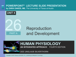 POWERPOINT® LECTURE SLIDE PRESENTATION by ZARA OAKES, MS, The University of Texas at Austin  UNIT 4 PART A  Reproduction and Development  HUMAN PHYSIOLOGY AN INTEGRATED APPROACH DEE UNGLAUB.