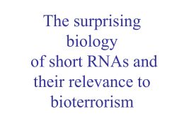 The surprising biology of short RNAs and their relevance to bioterrorism RNAi Discovery • • • • • • • • •  C. elegans (Fire et al., 1998) Drosophila (Carthew et al., 1998) Planaria (Newmark et.