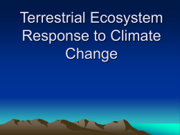 Terrestrial Ecosystem Response to Climate Change Global Change and Effects on Terrestrial Ecosystem Introduction   Temperature, precipitation, latitude and altitude all determine distribution of major terrestrial ecosystems (biomes).    Plants.