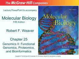 Lecture PowerPoint to accompany  Molecular Biology Fifth Edition  Robert F. Weaver Chapter 25 Genomics II: Functional Genomics, Proteomics, and Bioinformatics Copyright © The McGraw-Hill Companies, Inc.