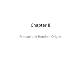 Chapter 8 Primate and Hominin Origins Walking on two feet? • How does that work?