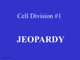 Cell Division #1  JEOPARDY S2C06 Jeopardy Review What Phase Is it?  Vocabulary  Cell Division  Picture ID  More Vocab What phase is it?•Chromosomes are spread out as chromatin •DNA is copied •Cell is “doing.