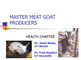 MASTER MEAT GOAT PRODUCERS HEALTH CHAPTER Dr. Janet Bailey UT-Martin  Dr. Fred Hopkins UT-Knoxville Health Chapter        Introduction/Biosecurity Identifying common diseases Parasites (internal and external) Prevention Problems during kidding Summary.