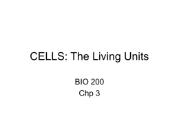 CELLS: The Living Units BIO 200 Chp 3 The Living Units Cell Theory: • The cell is the basic structural and functional unit of life •