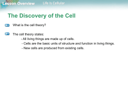Lesson Overview  Life Is Cellular  The Discovery of the Cell What is the cell theory? The cell theory states: - All living things are made.