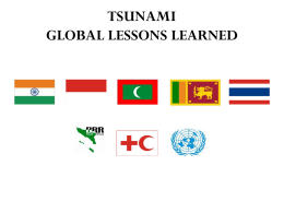 TSUNAMI GLOBAL LESSONS LEARNED The 2004 Tsunami: A Mega Disaster The Tsunami Legacy: Innovation, Breakthroughs and Change “Who Stops To Think?” The Challenges Of.