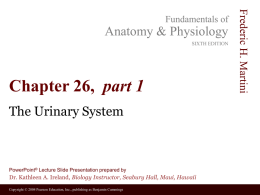 Anatomy & Physiology SIXTH EDITION  Chapter 26, part 1 The Urinary System  PowerPoint&reg; Lecture Slide Presentation prepared by  Dr.