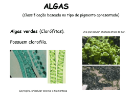 ALGAS (Classificação baseada no tipo de pigmento apresentado)  Algas verdes (Clorófitas).  Possuem clorofila.  Spyrogira, unicelular colonial e filamentosa  Ulva, pluricelular, chamada alface do mar.