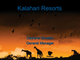 Kalahari Resorts  Daylene Stroebe General Manager In the middle of rural Wisconsin the Kalahari Resort in Wisconsin Dells serves nearly one million visitors a.