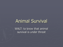 Animal Survival WALT: to know that animal survival is under threat Some facts ► In  1950, 15% of the world was covered by rainforest.