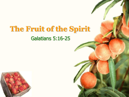 The Fruit of the Spirit Galatians 5:16-25 Galatians 2:16-25 Holman Christian Standard.