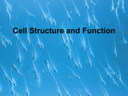 Cell Structure and Function Cell theory • (1839)Theodor Schwann & Matthias Schleiden “ all living things are made of cells” • (50 yrs.