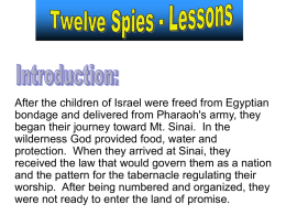 After the children of Israel were freed from Egyptian bondage and delivered from Pharaoh's army, they began their journey toward Mt.
