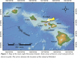 Figure 1. Map of the main eight Hawaiian Islands. Some areas of known coral reef growth are  shown in pink.
