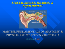 SPECIAL SENSES: HEARING & EQUILIBRIUM  MARTINI, FUNDAMENTALS OF ANATOMY & PHYSIOLOGY, 9TH EDITION, CHAPTER # 17 Exercise # 22