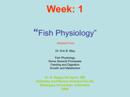 Week: 1 “Fish Physiology” Adopted from:  Dr. Eric B. May, Fish Physiology Some General Processes Feeding and Digestion Growth and Metabolism  Dr.
