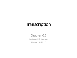 Transcription Chapter 6.2 McGraw-Hill Ryerson Biology 12 (2011) Transcription The process by which the polymerization of ribonucleotides guided by complementary base pairing produces an RNA transcript.