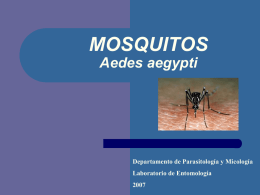 MOSQUITOS Aedes aegypti  Departamento de Parasitología y Micología Laboratorio de Entomología GENERALIDADES Mosquitos          PHYLUM: Artrópodos CLASE: Insecta ORDEN: Díptera FAMILIA: Culicidae SUBFAMILIA: Culicinae y Anophelinae GÉNEROS: Aedes, Culex y Anopheles.