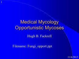 Medical Mycology Opportunistic Mycoses Hugh B. Fackrell  Filename: Fungi_opport.ppt 11/6/2015 Mycoses & Mytoxicosis  Mycoses   fungal infections  Mycotoxicosis- intoxicaton  11/6/2015
