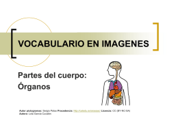 VOCABULARIO EN IMAGENES  Partes del cuerpo: Órganos Autor pictogramas: Sergio Palao Procedencia: http://catedu.es/arasaac/ Licencia: CC (BY-NC-SA) Autora: Lola García Cucalón.