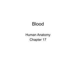 Blood Human Anatomy Chapter 17 I. Overview: Composition of Blood Blood is considered a connective tissue.