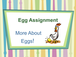 Egg Assignment More About  Eggs! Egg Trivia The largest single chicken egg ever laid weighed a pound with a double yolk and a double shell!