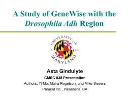 A Study of GeneWise with the Drosophila Adh Region  Asta Gindulyte CMSC 838 Presentation Authors: Yi Mo, Moira Regelson, and Mike Sievers Paracel Inc., Pasadena,