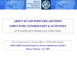 ABOUT IP AND WIPO SMEs DIVISION STRUCTURE, INFORMATION & ACTIVITIES IP PANORAMA MODULES FOR SMEs  Mrs.