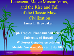 Leucaena, Maize Mosaic Virus, and the Rise and Fall of the Classic Maya Civilization James L.