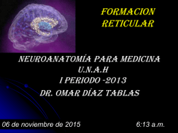 FORMACION RETICULAR Neuroanatomía para MEDICINA U.N.A.H I Periodo -2013 Dr. Omar Díaz Tablas  06 de noviembre de 2015 06/11/2015  Dr.