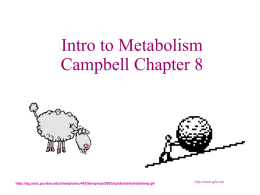 Intro to Metabolism Campbell Chapter 8  http://ag.ansc.purdue.edu/sheep/ansc442/Semprojs/2003/spiderlamb/eatsheep.gif  http://www.gifs.net • Metabolism is the sum of an organism’s chemical reactions  • Metabolism is an emergent property of.