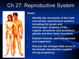 Ch 27: Reproductive System Goals: 1.  Identify the structures of the male and female reproductive systems, including the gross and microscopic anatomy of the organs, structures and.