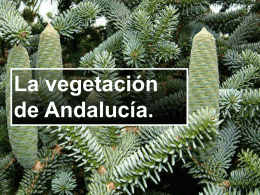 La vegetación de Andalucía. Cómo es la vegetación. Antes de comenzar esta parte, debemos tener claro qué entendemos por vegetación. vegetación. (Del lat.