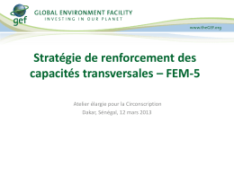 Stratégie de renforcement des capacités transversales – FEM-5 Atelier élargie pour la Circonscription Dakar, Sénégal, 12 mars 2013