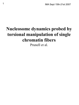 IMA Sept 15th-21st 2007  Nucleosome dynamics probed by torsional manipulation of single chromatin fibers Prunell et al.