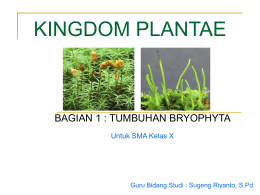 KINGDOM PLANTAE  BAGIAN 1 : TUMBUHAN BRYOPHYTA Untuk SMA Kelas X  Guru Bidang Studi : Sugeng Riyanto, S.Pd.