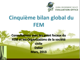 Cinquième bilan global du FEM Objectif Cadre Analytique Questions clés qui seront couvertes  Audience du Cinquième bilan global du FEM Questions Organisationnelles Travail de Groupe.