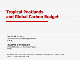Tropical Peatlands and Global Carbon Budget  Daniel Murdiyarso Center for International Forestry Research (CIFOR)  I Nyoman Suryadiputra Wetland International – Indonesia Program (WI-IP) Regional Carbon Budgets Workshop: From.