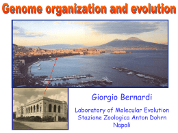 Giorgio Bernardi Laboratory of Molecular Evolution Stazione Zoologica Anton Dohrn Napoli 1. Approaches to the study of evolution 2.