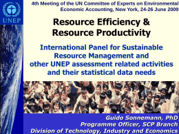 4th Meeting of the UN Committee of Experts on Environmental Economic Accounting, New York, 24-26 June 2009  Resource Efficiency & Resource Productivity International Panel.