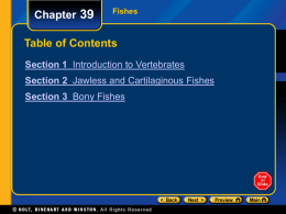 Chapter 39  Fishes  Table of Contents Section 1 Introduction to Vertebrates Section 2 Jawless and Cartilaginous Fishes Section 3 Bony Fishes.