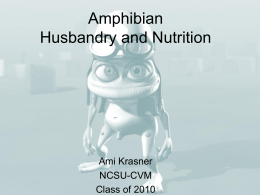 Amphibian Husbandry and Nutrition  Ami Krasner NCSU-CVM Class of 2010 Goals for today • • • • •  Amphibian Basics Handling Housing Environmental Control Nutrition.