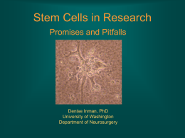 Stem Cells in Research Promises and Pitfalls  Denise Inman, PhD University of Washington Department of Neurosurgery.