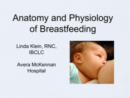 Anatomy and Physiology of Breastfeeding Linda Klein, RNC, IBCLC Avera McKennan Hospital “From birth through puberty, pregnancy, and lactation, no other human organ displays such dramatic changes in shape,