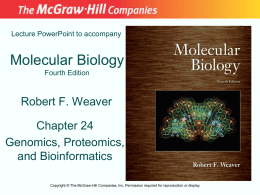 Lecture PowerPoint to accompany  Molecular Biology Fourth Edition  Robert F. Weaver Chapter 24 Genomics, Proteomics, and Bioinformatics Copyright © The McGraw-Hill Companies, Inc.